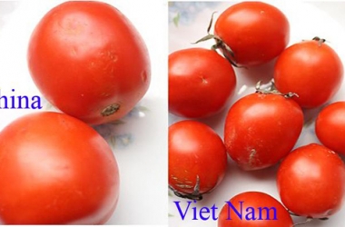 Mẹo phân biệt rau, củ, quả Trung Quốc